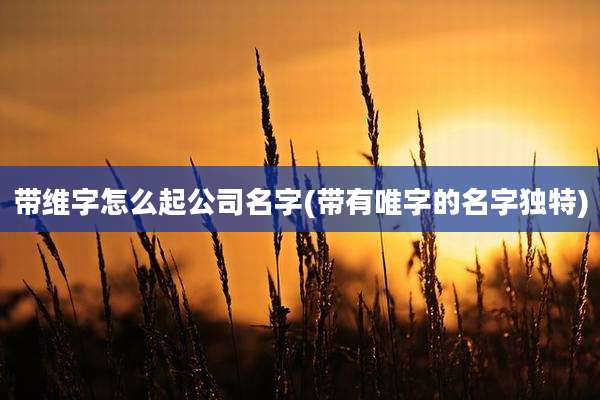 带维字怎么起公司名字(带有唯字的名字独特)