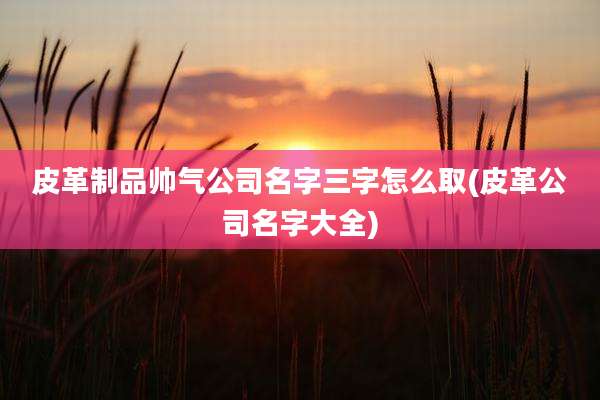 皮革制品帅气公司名字三字怎么取(皮革公司名字大全)