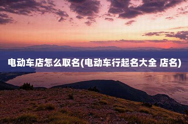 电动车店怎么取名(电动车行起名大全 店名)