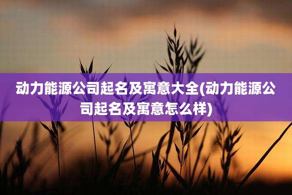 动力能源公司起名及寓意大全(动力能源公司起名及寓意怎么样)