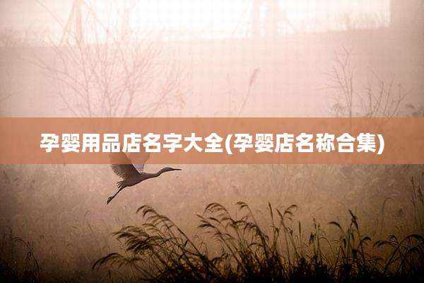 孕婴用品店名字大全(孕婴店名称合集)