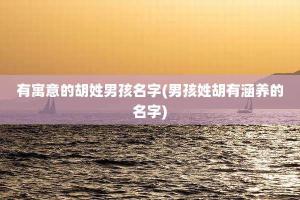 有寓意的胡姓男孩名字(男孩姓胡有涵养的名字)