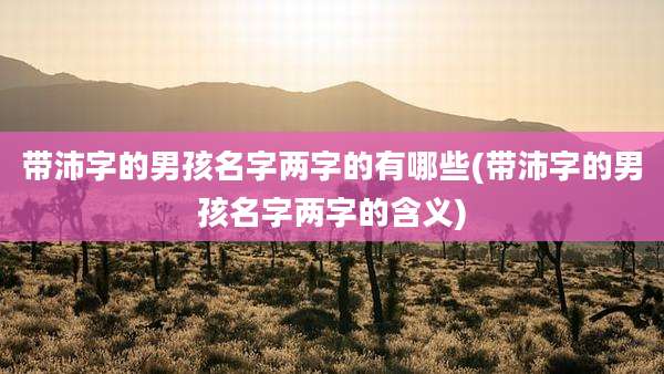 带沛字的男孩名字两字的有哪些(带沛字的男孩名字两字的含义)