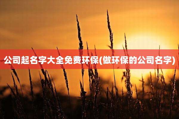 公司起名字大全免费环保(做环保的公司名字)