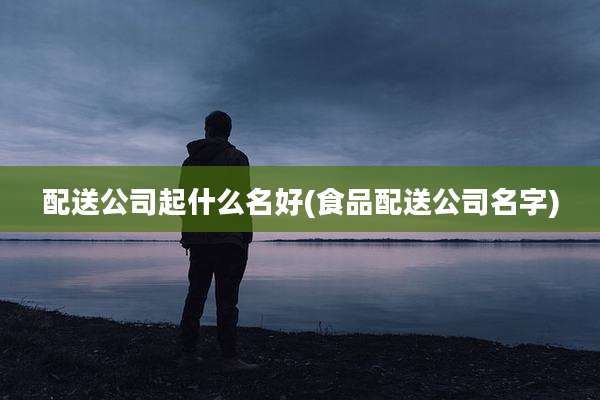 配送公司起什么名好(食品配送公司名字)