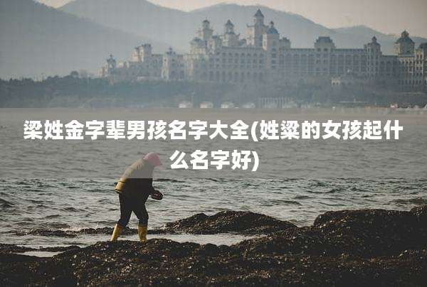 梁姓金字辈男孩名字大全(姓粱的女孩起什么名字好)