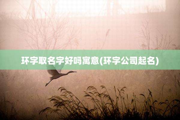 环字取名字好吗寓意(环字公司起名)