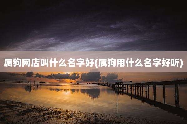 属狗网店叫什么名字好(属狗用什么名字好听)