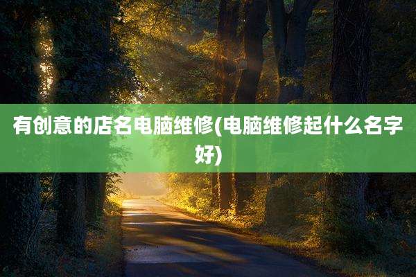 有创意的店名电脑维修(电脑维修起什么名字好)