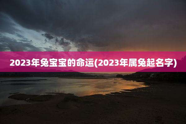 2023年兔宝宝的命运(2023年属兔起名字)
