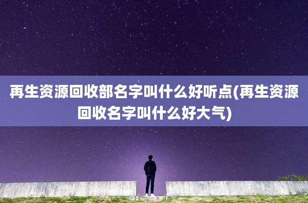 再生资源回收部名字叫什么好听点(再生资源回收名字叫什么好大气)