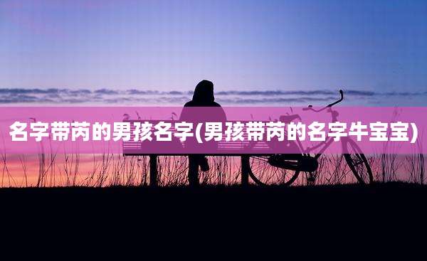 名字带芮的男孩名字(男孩带芮的名字牛宝宝)