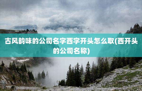 古风韵味的公司名字西字开头怎么取(西开头的公司名称)