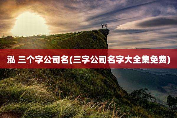 泓 三个字公司名(三字公司名字大全集免费)