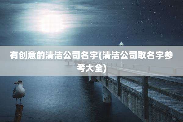 有创意的清洁公司名字(清洁公司取名字参考大全)