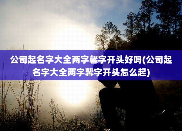 公司起名字大全两字馨字开头好吗(公司起名字大全两字馨字开头怎么起)