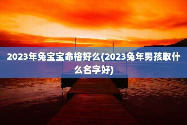 2023年兔宝宝命格好么(2023兔年男孩取什么名字好)