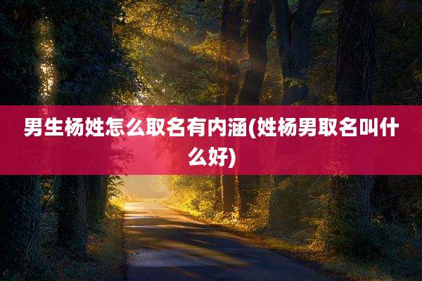 男生杨姓怎么取名有内涵(姓杨男取名叫什么好)