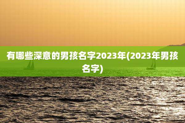 有哪些深意的男孩名字2023年(2023年男孩名字)