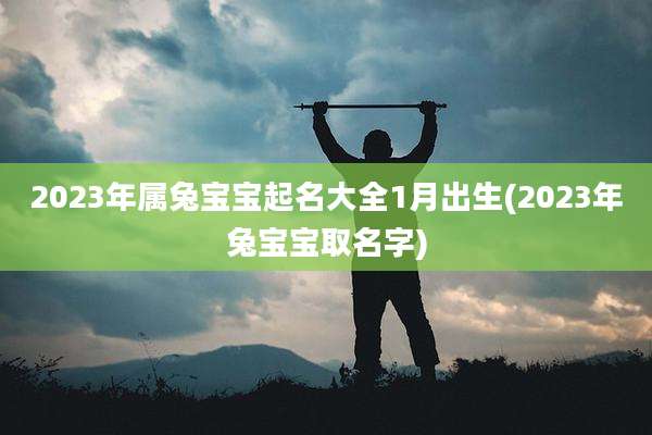 2023年属兔宝宝起名大全1月出生(2023年兔宝宝取名字)
