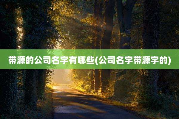 带源的公司名字有哪些(公司名字带源字的)