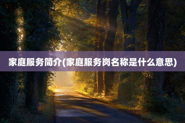 家庭服务简介(家庭服务岗名称是什么意思)