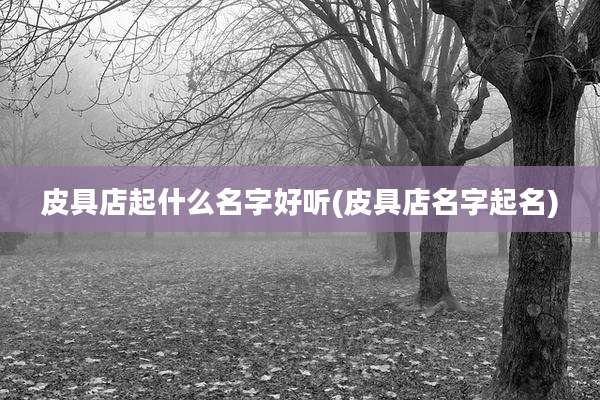 皮具店起什么名字好听(皮具店名字起名)