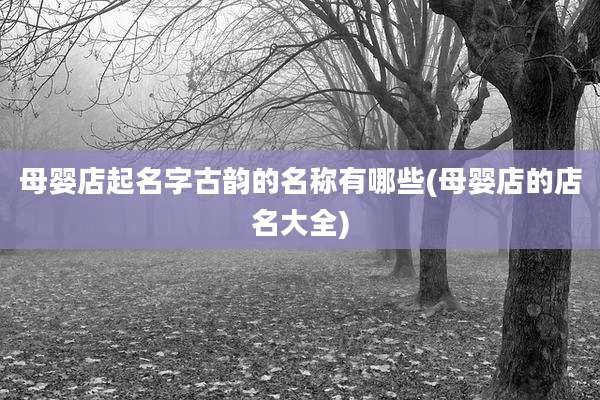 母婴店起名字古韵的名称有哪些(母婴店的店名大全)