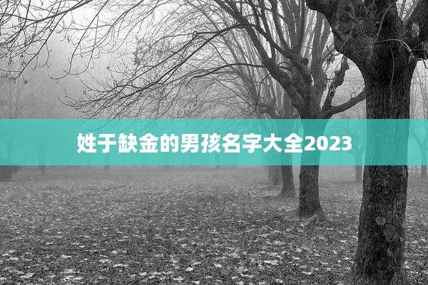 姓于缺金的男孩名字大全2023