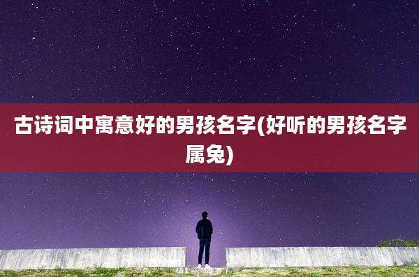古诗词中寓意好的男孩名字(好听的男孩名字属兔)