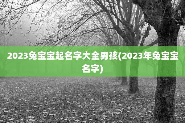 2023兔宝宝起名字大全男孩(2023年兔宝宝名字)