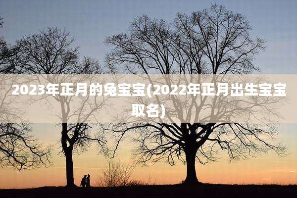 2023年正月的兔宝宝(2022年正月出生宝宝取名)