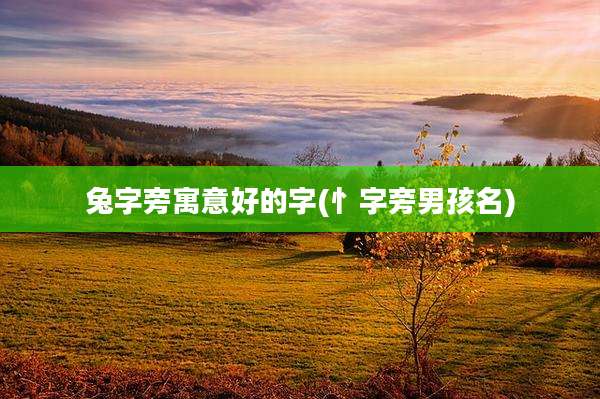 兔字旁寓意好的字(忄字旁男孩名)