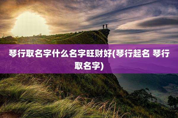 琴行取名字什么名字旺财好(琴行起名 琴行取名字)