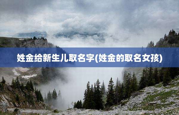 姓金给新生儿取名字(姓金的取名女孩)