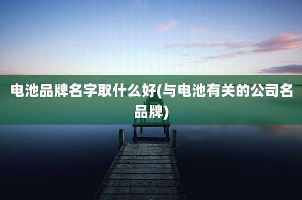 电池品牌名字取什么好(与电池有关的公司名品牌)