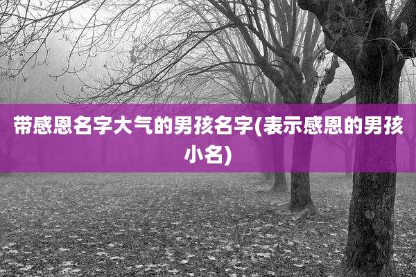 带感恩名字大气的男孩名字(表示感恩的男孩小名)