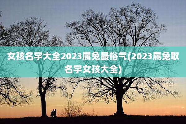 女孩名字大全2023属兔最俗气(2023属兔取名字女孩大全)