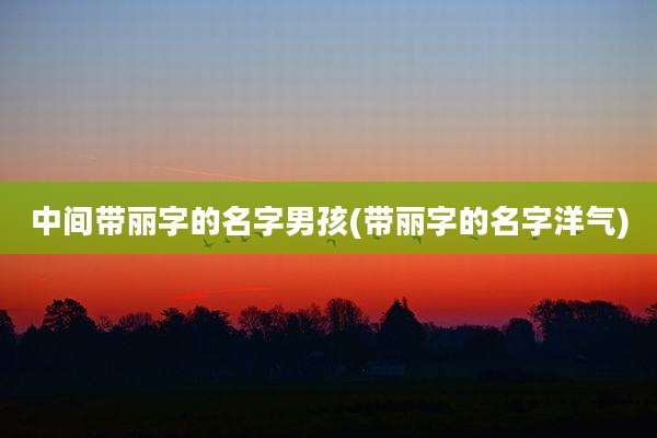 中间带丽字的名字男孩(带丽字的名字洋气)