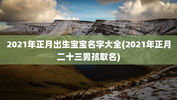 2021年正月出生宝宝名字大全(2021年正月二十三男孩取名)
