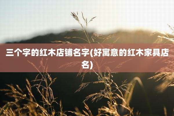 三个字的红木店铺名字(好寓意的红木家具店名)