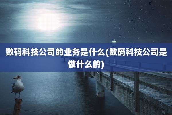 数码科技公司的业务是什么(数码科技公司是做什么的)