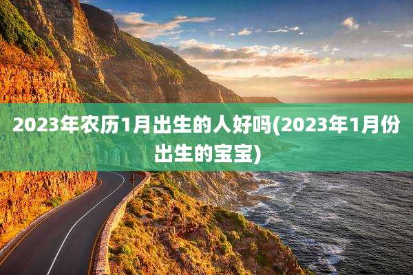 2023年农历1月出生的人好吗(2023年1月份出生的宝宝)
