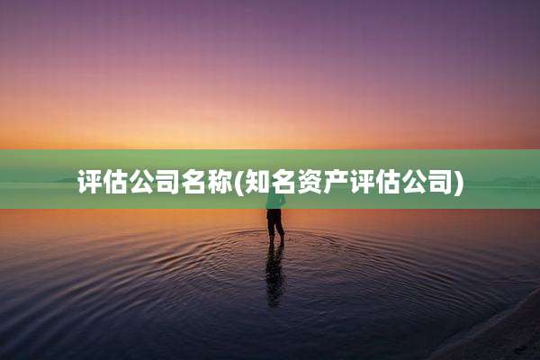 评估公司名称(知名资产评估公司)