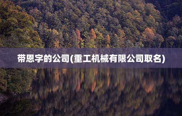 带恩字的公司(重工机械有限公司取名)