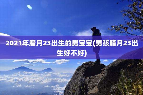2021年腊月23出生的男宝宝(男孩腊月23出生好不好)