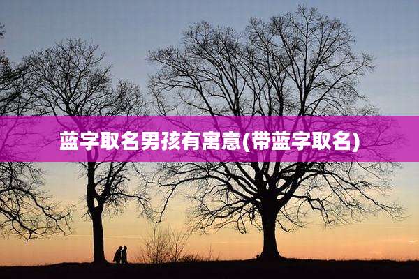 蓝字取名男孩有寓意(带蓝字取名)