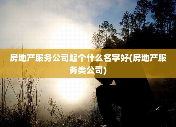 房地产服务公司起个什么名字好(房地产服务类公司)