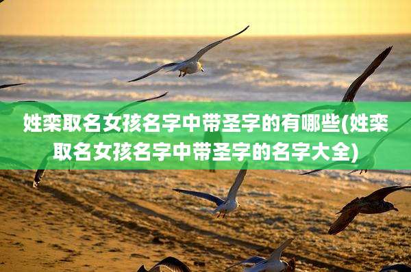 姓栾取名女孩名字中带圣字的有哪些(姓栾取名女孩名字中带圣字的名字大全)