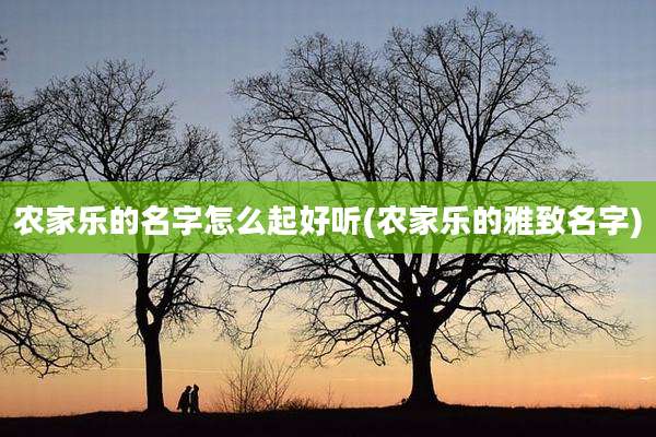农家乐的名字怎么起好听(农家乐的雅致名字)
